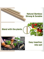 Bamboo Plant Support Stakes
