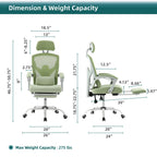 Ergonomic Lounge Chair