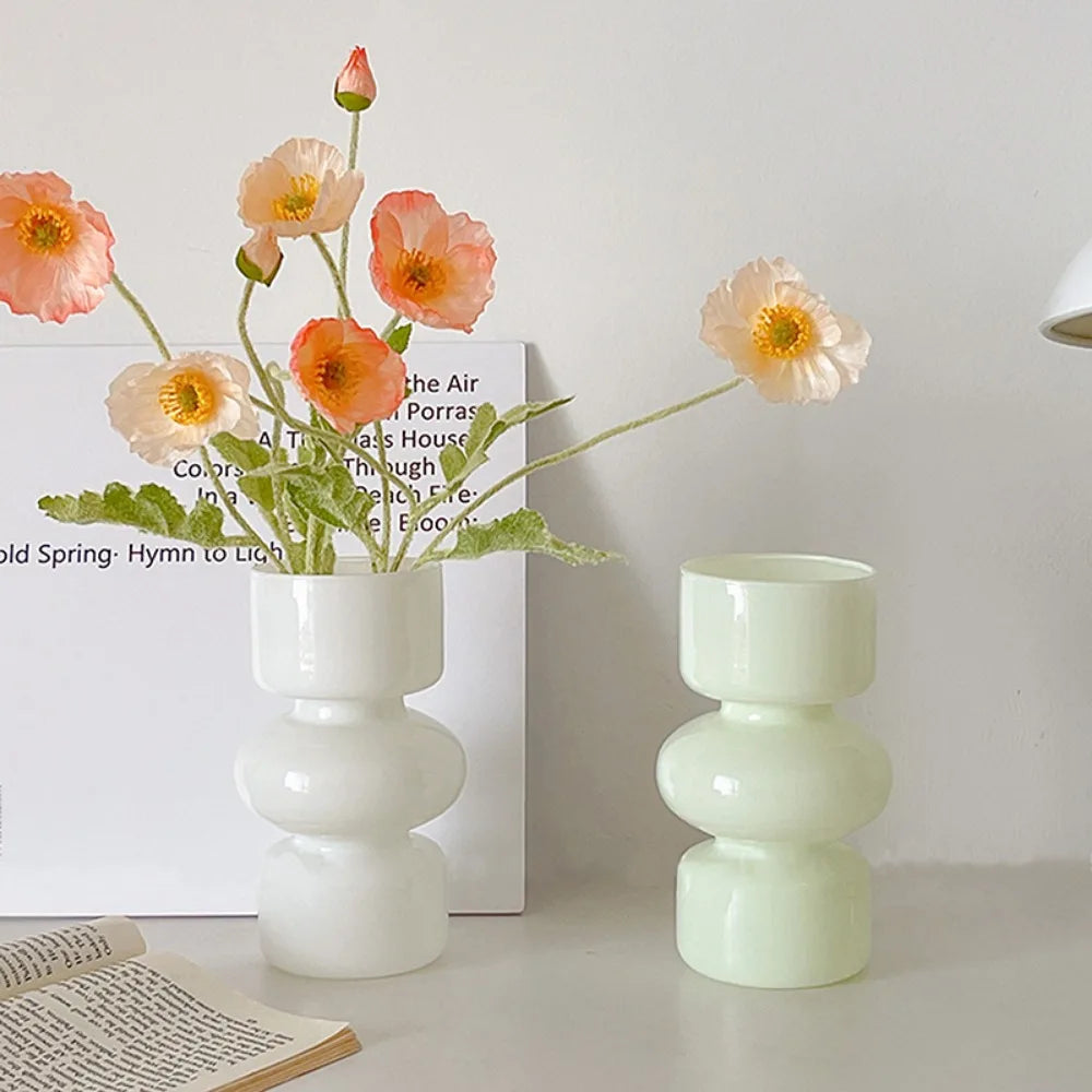 Minimalist Hydroponic Glass Vase