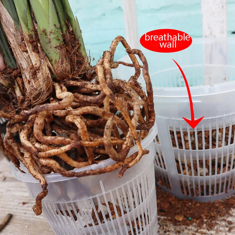 Mesh Root-Control Orchid Pot