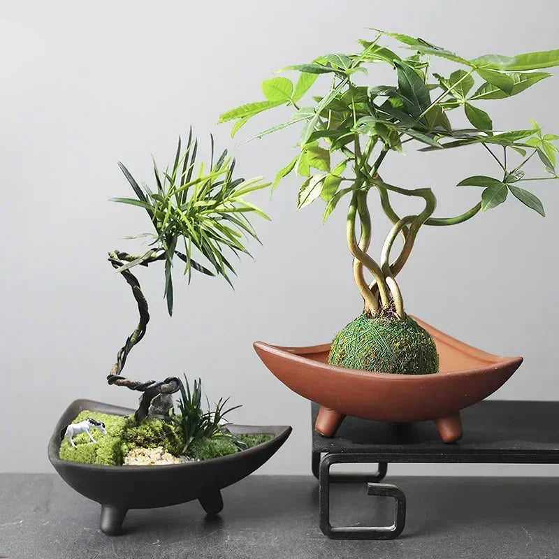 Bamboo Ceramic Planter