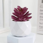 Lifelike Faux Succulent Arrangement