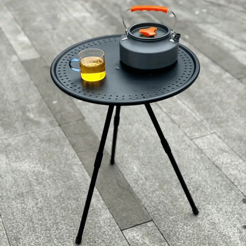 Portable Folding Picnic Table