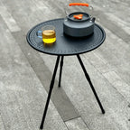 Portable Folding Picnic Table