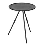 Portable Folding Picnic Table