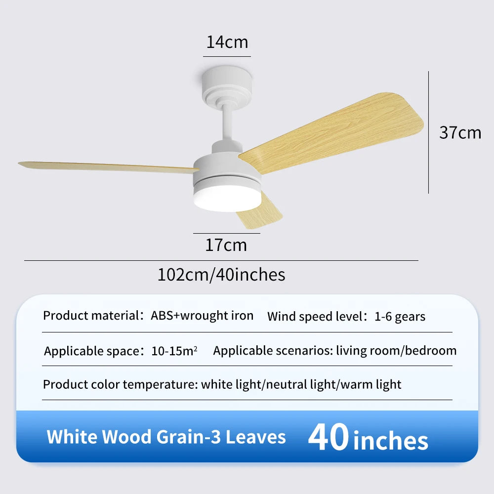 Black Remote-Control Ceiling Fan Light