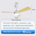 Black Remote-Control Ceiling Fan Light