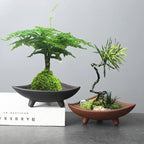 Bamboo Ceramic Planter