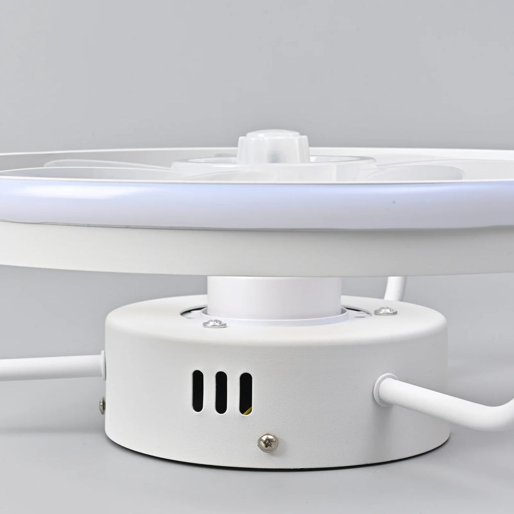 Electric Remote-Control LED Ceiling Fan with Light