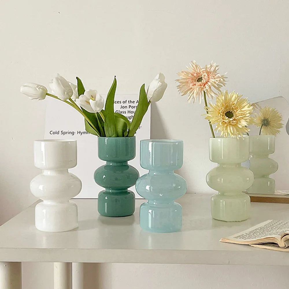 Minimalist Hydroponic Glass Vase