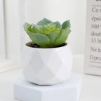 Lifelike Faux Succulent Arrangement