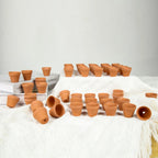 Planters Bulk 30-Pack