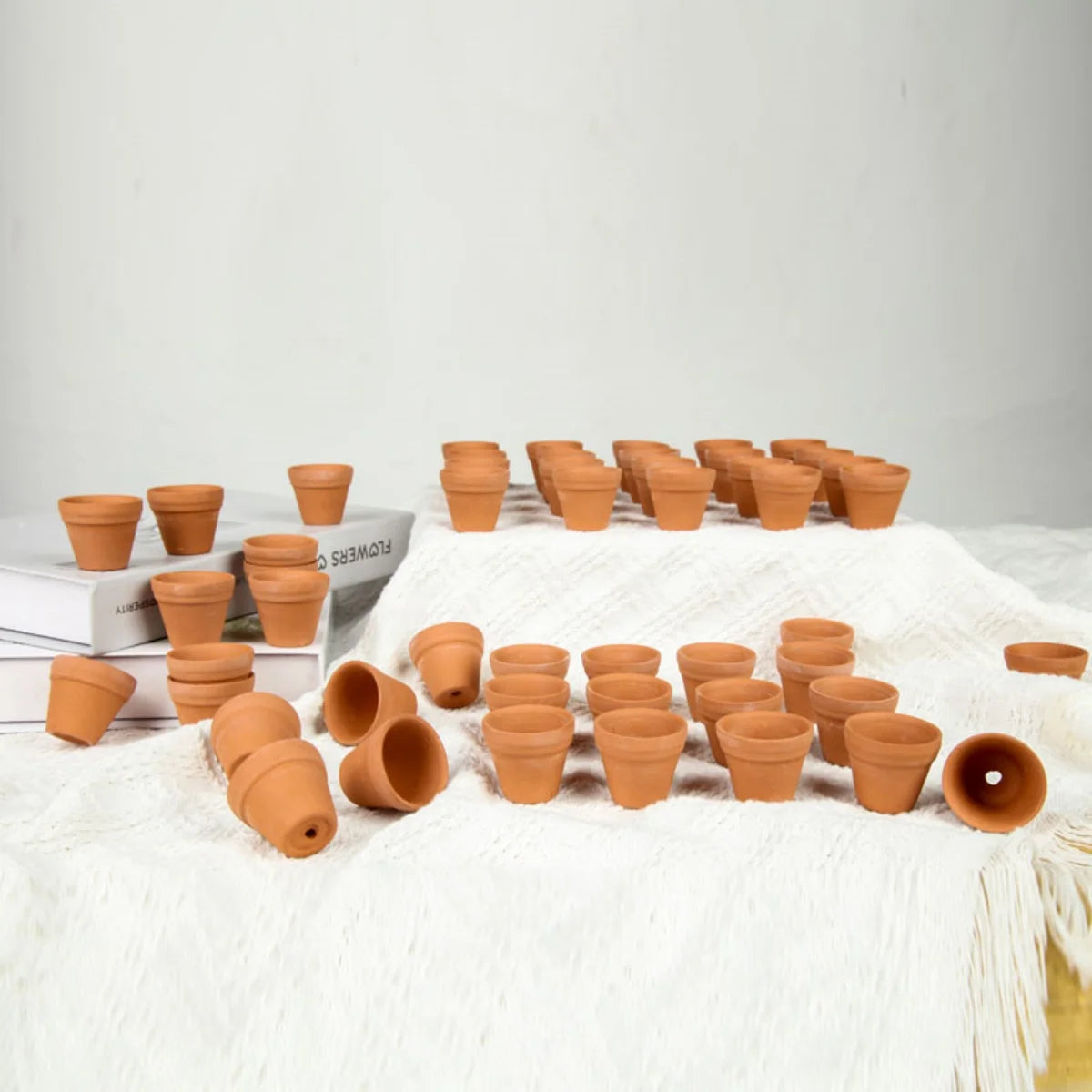 Planters Bulk 30-Pack