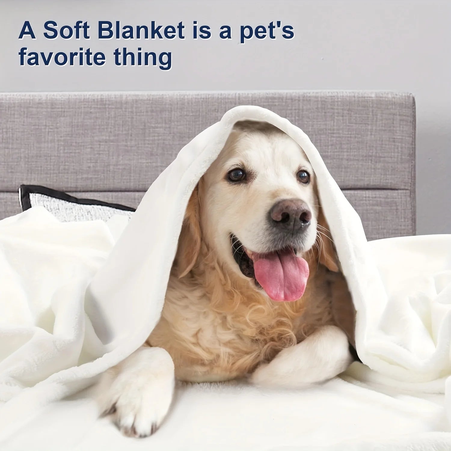 Coral Fleece Throw Blanket