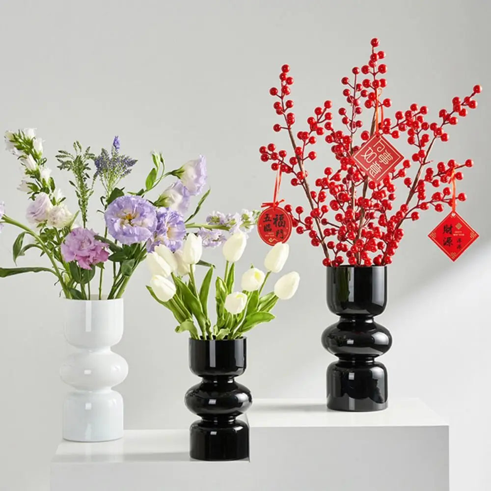 Minimalist Hydroponic Glass Vase
