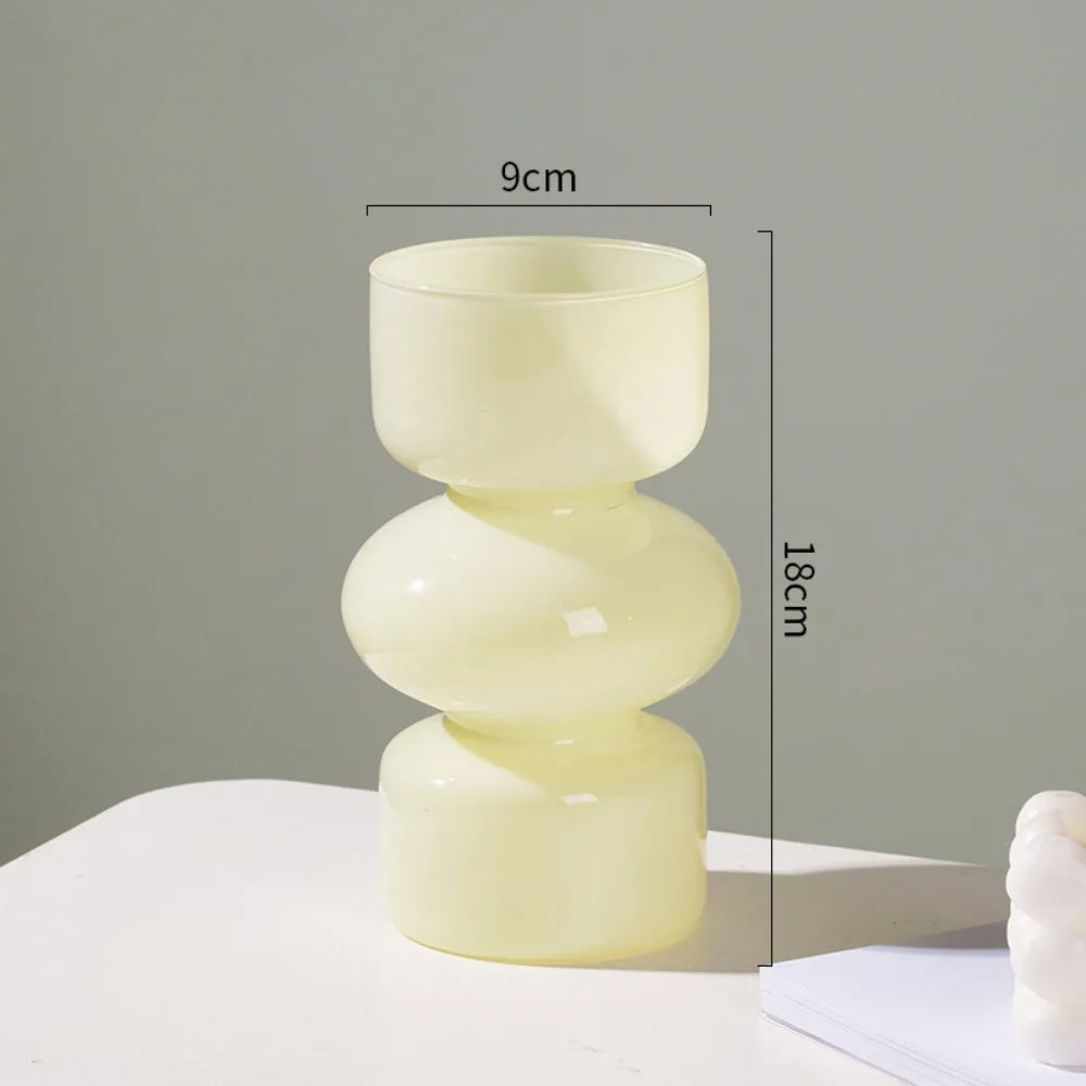 Minimalist Hydroponic Glass Vase