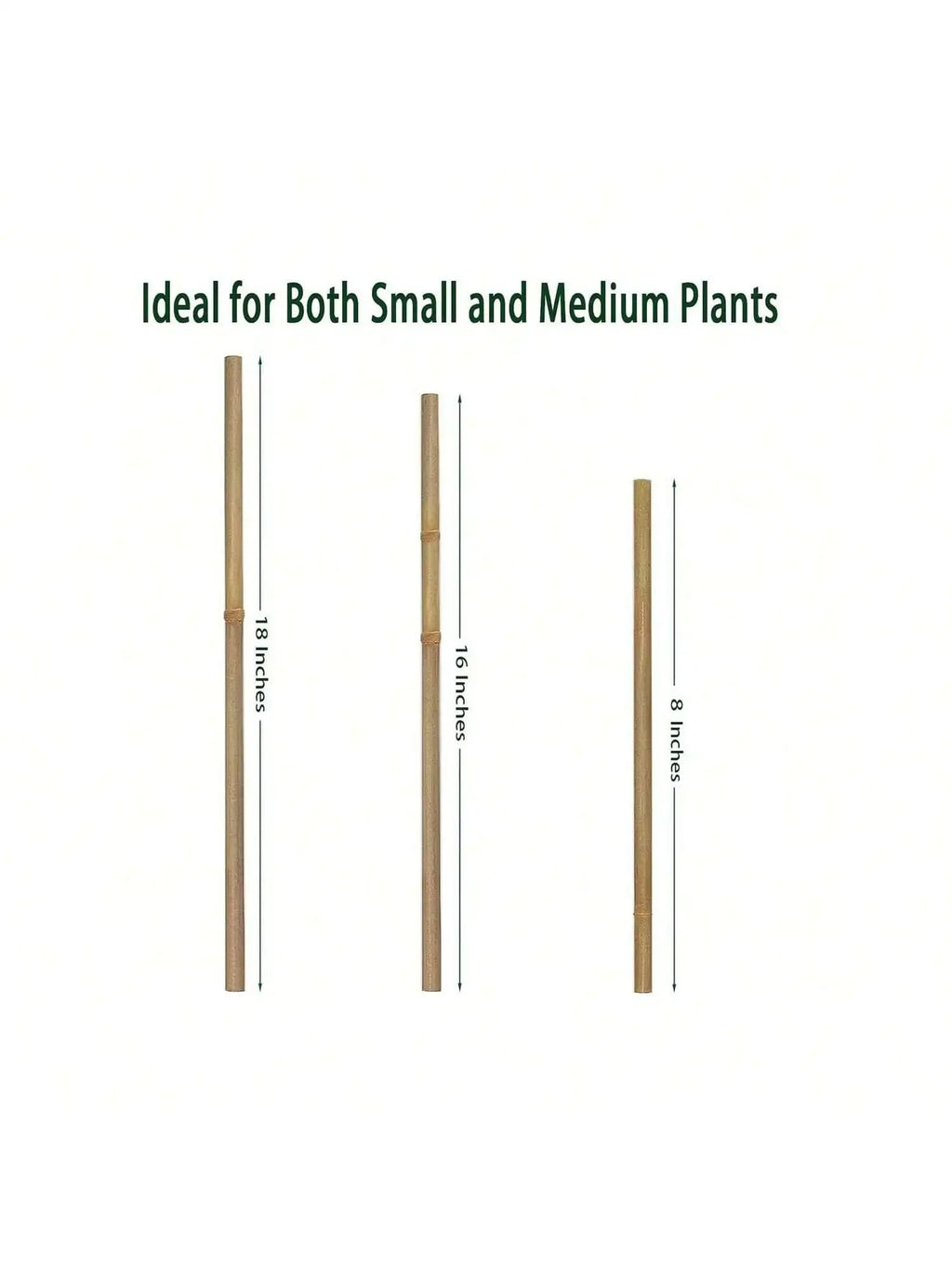 Bamboo Plant Support Stakes