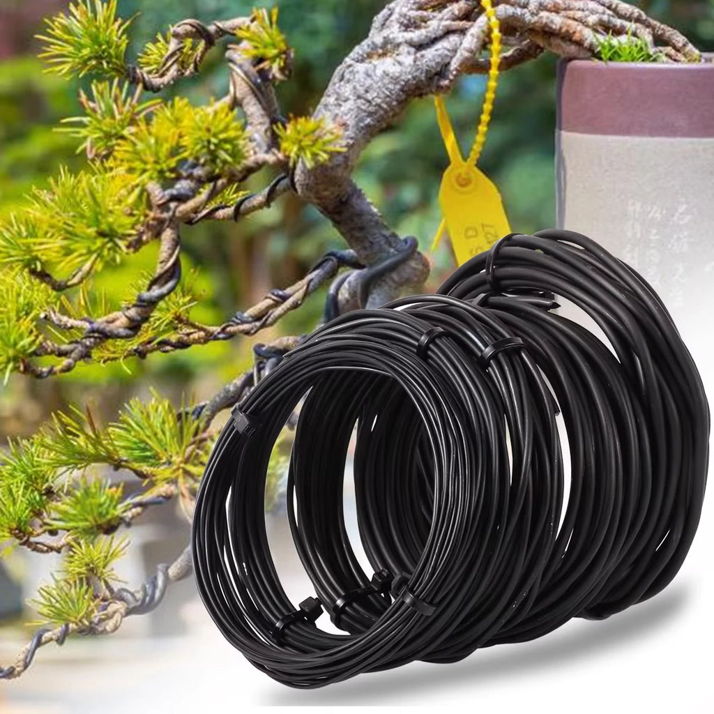 Bonsai Training Wire