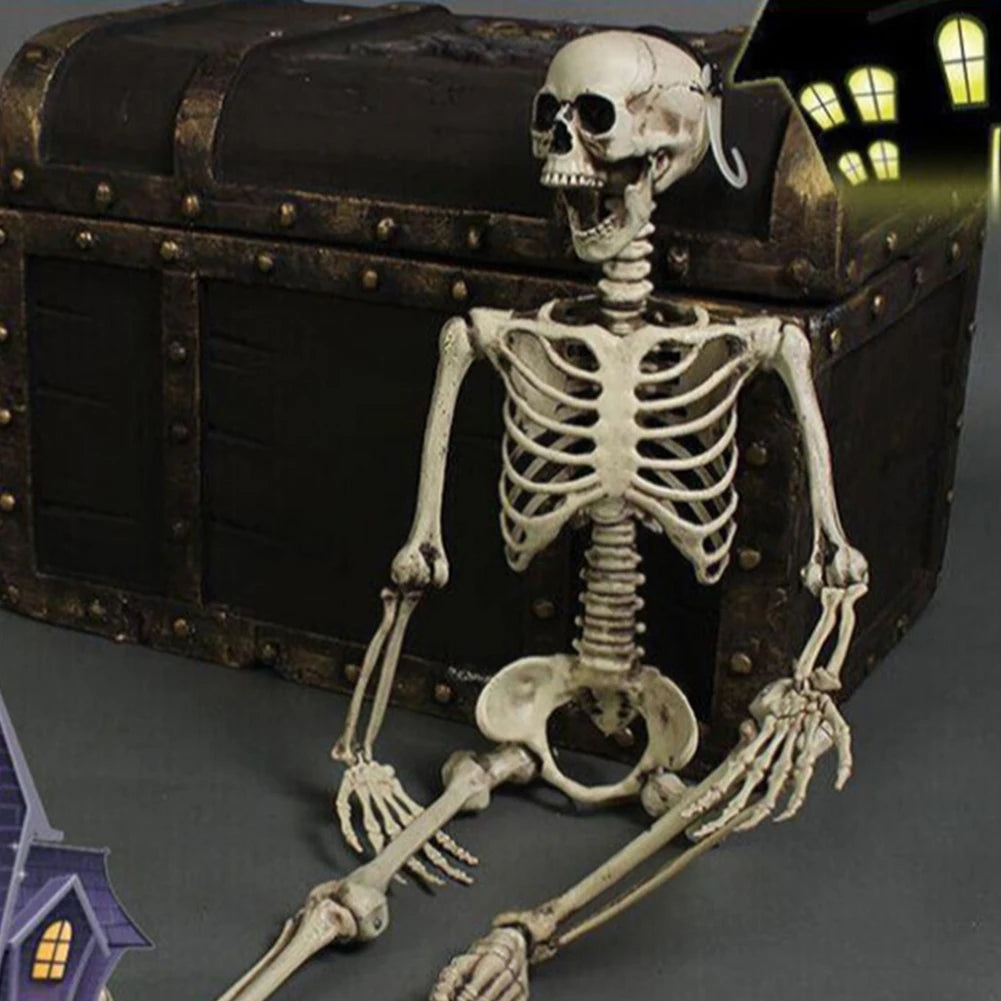 Life-Size 170 cm Posable Halloween Skeleton