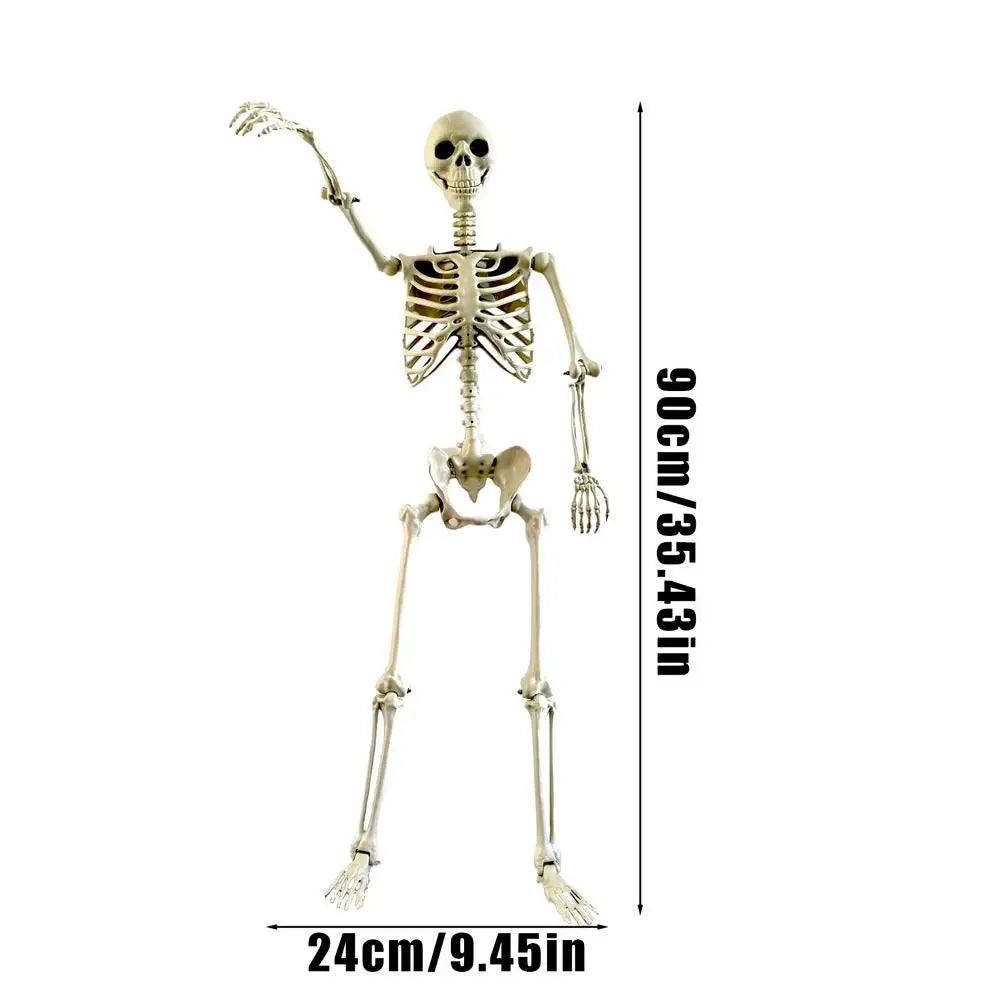 90 cm Posable Halloween Skeleton