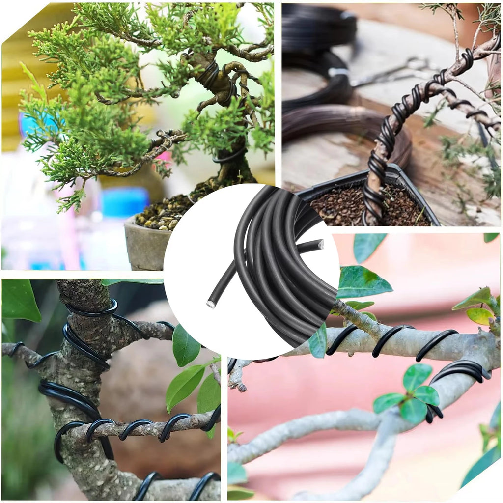 Bonsai Training Wire