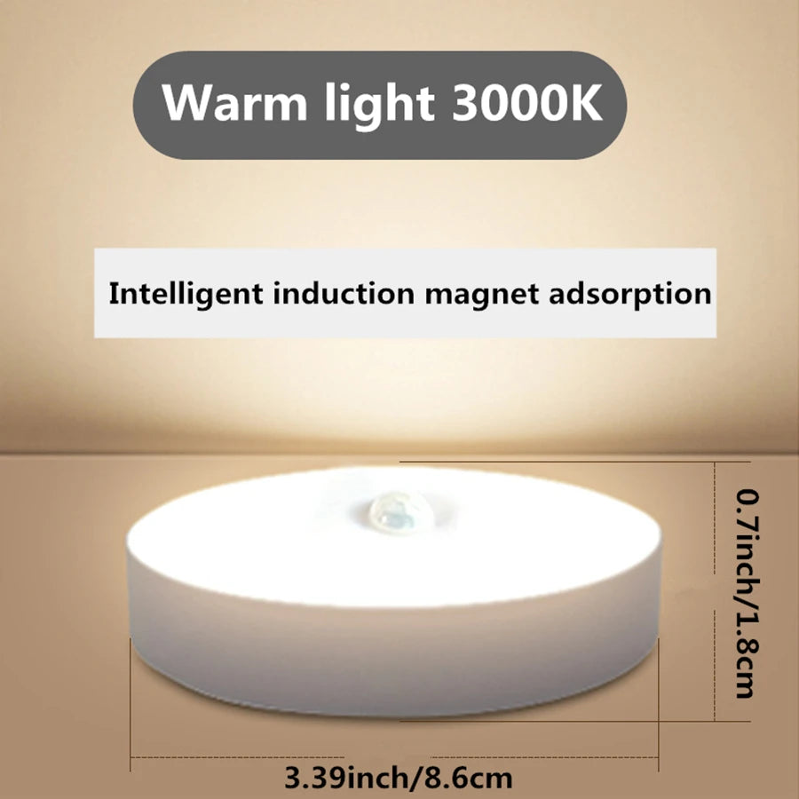 White Warm Light Magnetic Night