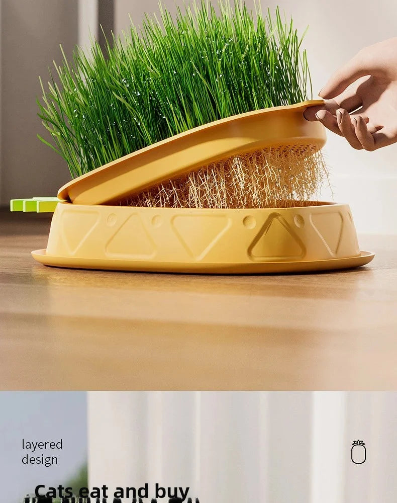 Hydroponic Cat Grass Planter