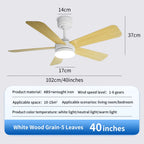 Black Remote-Control Ceiling Fan Light