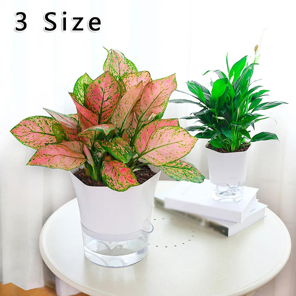 Transparent Planter