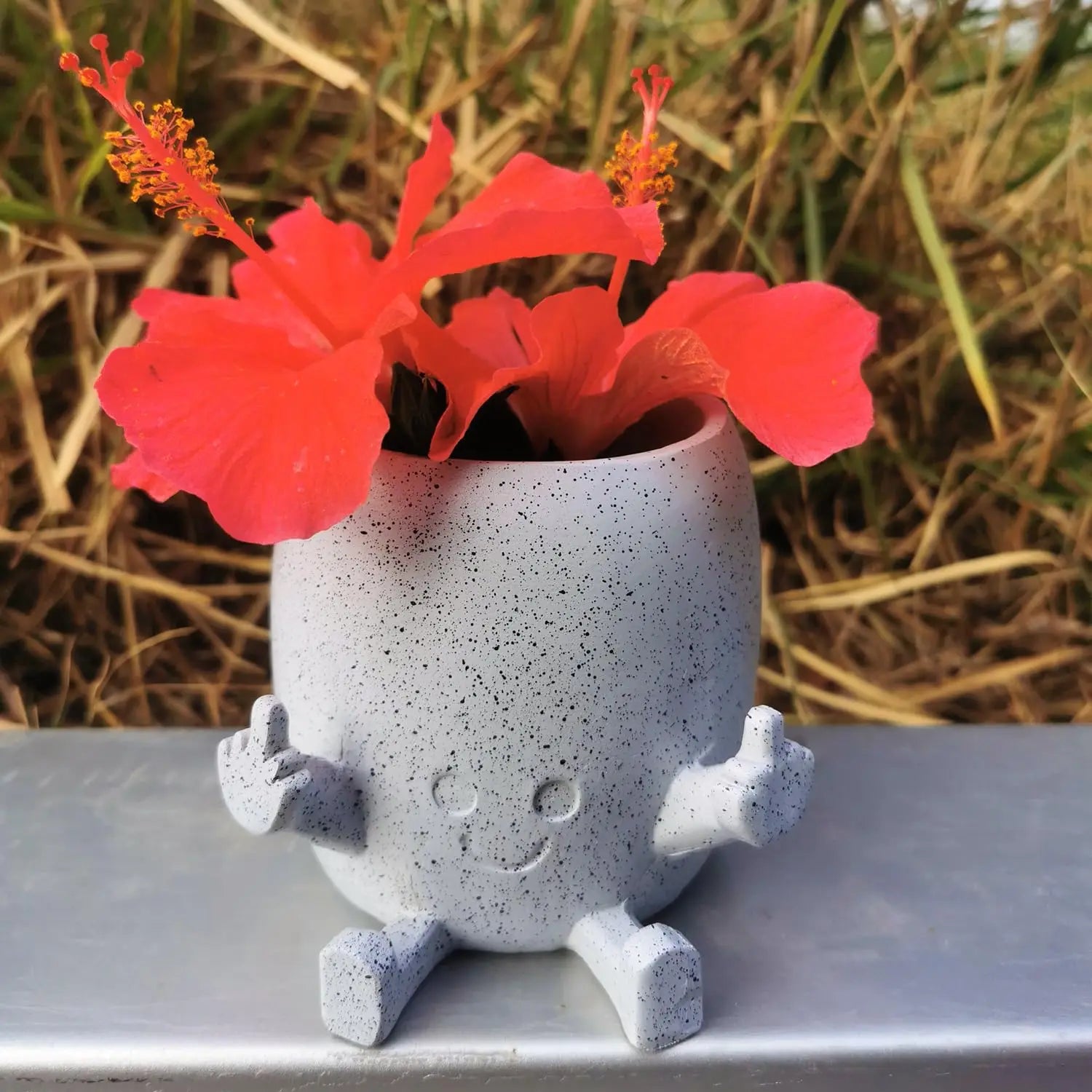 Funny Planter