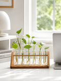 Hydroponic test tube vase on minimalist desk