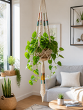 Boho macrame plant hanger in living room