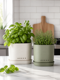 Indoor planters with drainage on kitchen counter
