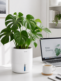 Self-watering planter on minimalist home office desk