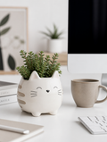 Cat succulent flowerpot on home office desk