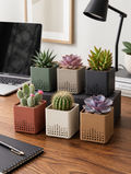 Square succulent pots on contemporary home office desk