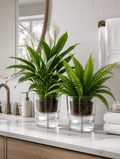 Transparent orchid pots on bathroom vanity