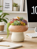 Mushroom succulent planter on home office desk