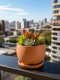 Round Succulent Planter with Tray on balcony