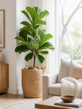 Nordic Seagrass Woven Plant Basket in Scandinavian living room