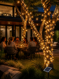 Shatterproof solar string lights hanging in backyard trees