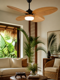 WESTMERE StealthAir Enclosed Fan Light in living room