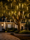 Solar meteor shower lights cascading from tree at night
