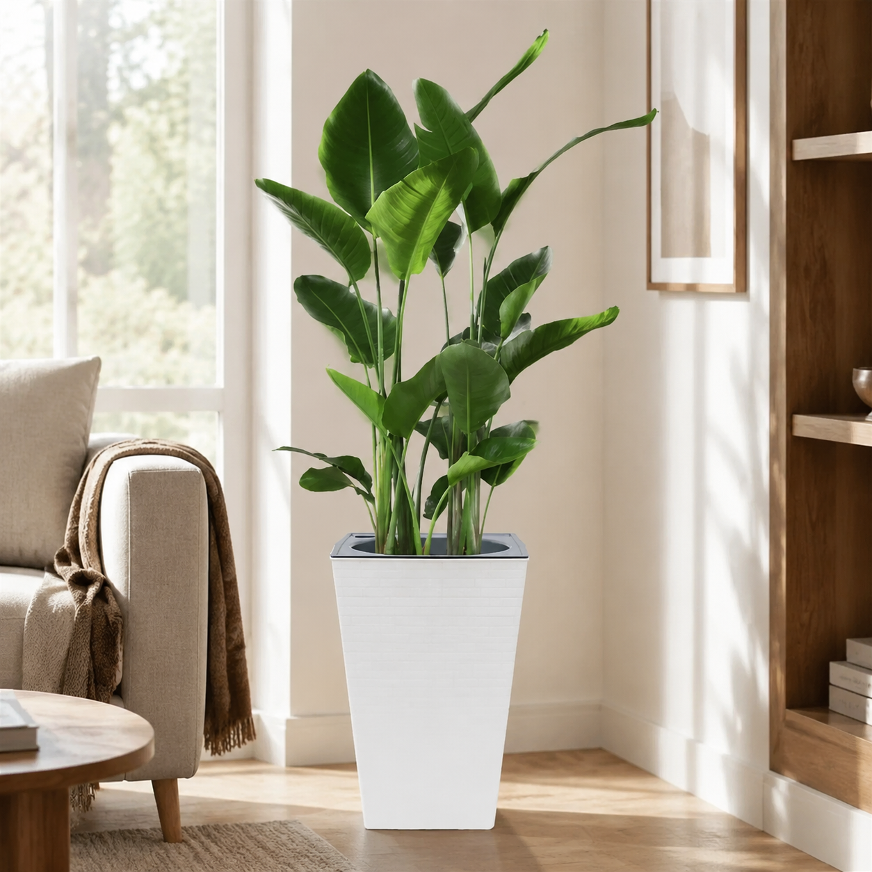 Large white metal planter with a bird-of-paradise plant